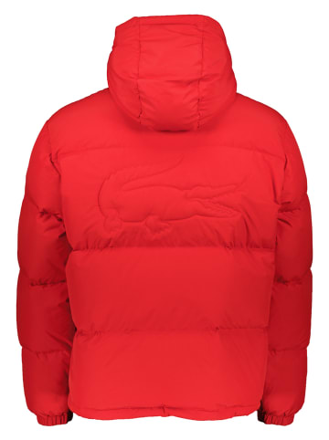 Lacoste Doorgestikte jas rood