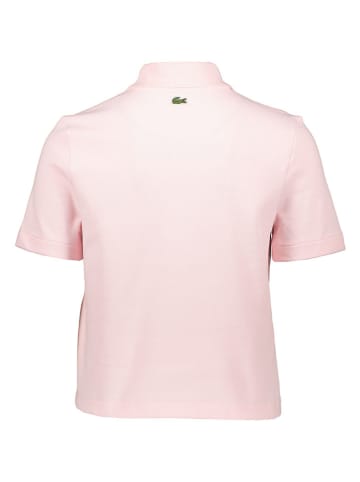 Lacoste Poloshirt in Rosé