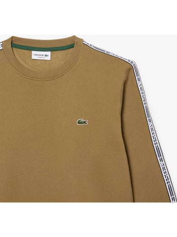 Lacoste Sweatshirt camel