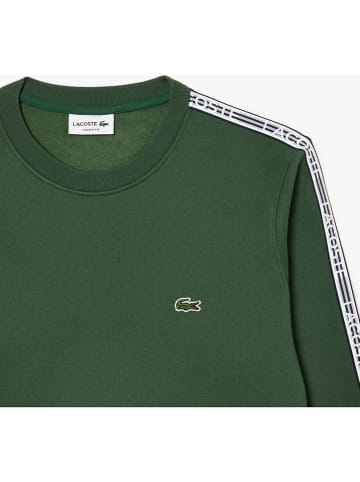 Lacoste Sweatshirt groen