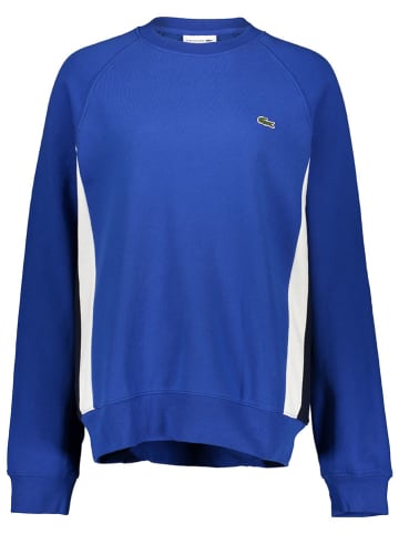 Lacoste Sweatshirt blauw