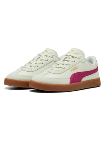 Puma Sneakers "Club II Era" lichtgroen/beskleurig
