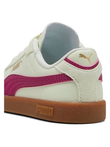 Puma Sneakersy "Club II Era" w kolorze jasnozielono-jagodowym