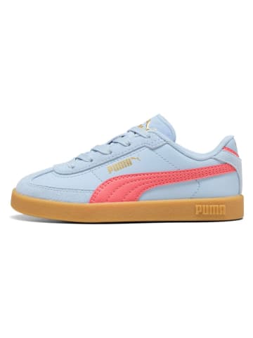 Puma Sneakers "Club II Era" in Hellblau/ Pink