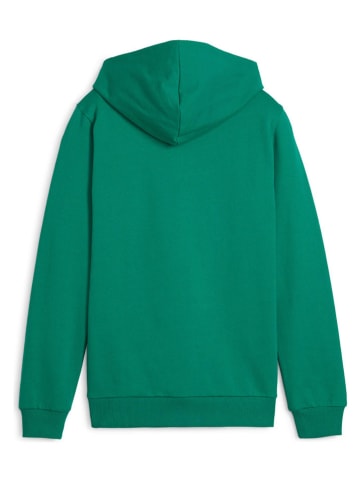 Puma Hoodie groen