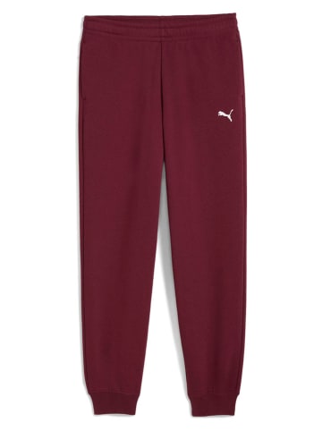 Puma Sweathose in Bordeaux
