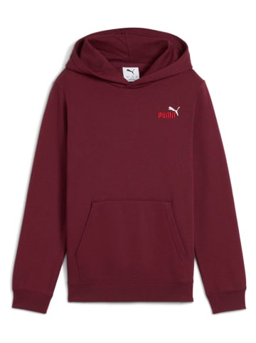 Puma Hoodie in Bordeaux