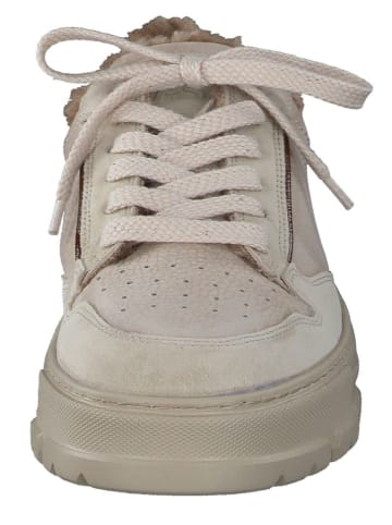 Paul Green Leder-Sneakers in Beige
