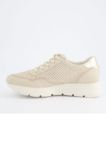 Paul Green Leder-Sneakers in Beige