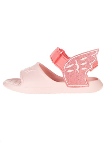 Puma Sandalen "DIVECAT V2" in Rosa