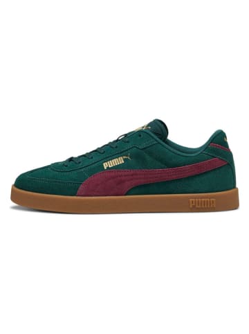 Puma Leren sneakers "Club II Era" groen/paars