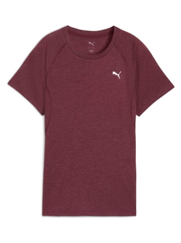 Puma Hardloopshirt "Velocity" rood
