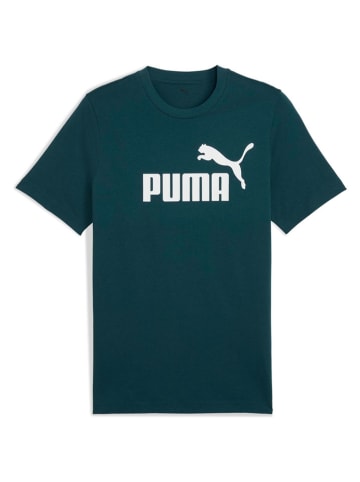 Puma Shirt in Türkis
