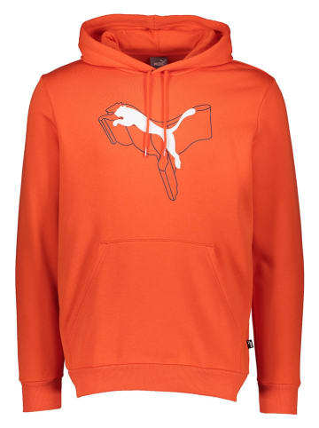 Puma Hoodie "Essentials+" in Rot
