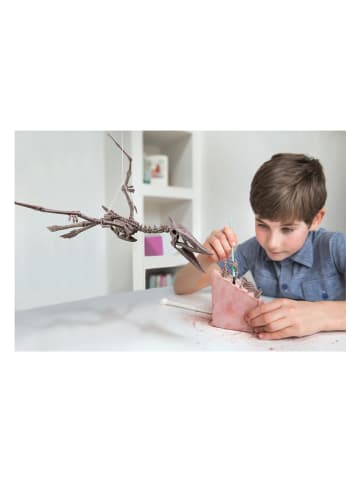 HCM Zestaw archeologiczny - 8+