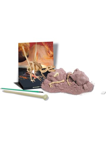 4M Zestaw odkrywcy "Velociraptor" - 8+