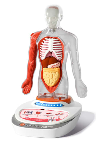 TOPBRIGHT Anatomiemodel "Mijn lichaam" - vanaf 6 jaar