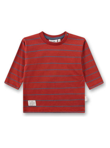 Sanetta Kidswear Shirt rood/blauw