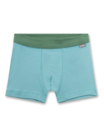 Sanetta 2er-Set: Boxershorts in Hellblau/ Grün