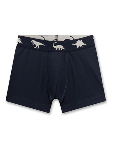 Sanetta 2-delige set: boxershorts zwart/lichtblauw