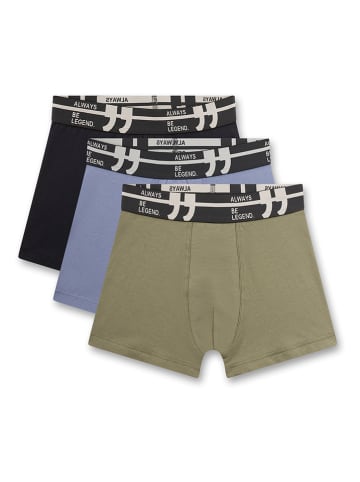 Sanetta 3-delige set: boxershorts meerkleurig