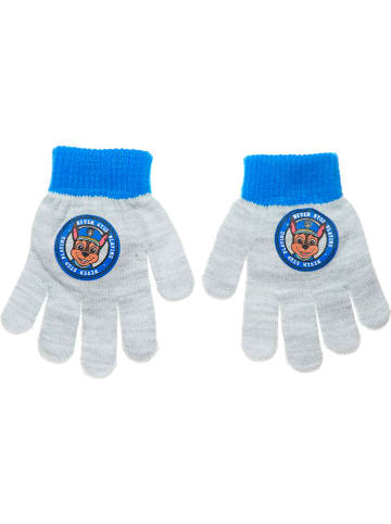 Paw Patrol Fingerhandschuhe "Paw patrol" in Grau