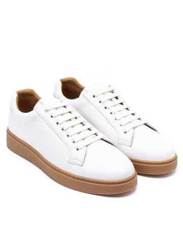 British Passport Leren sneakers wit