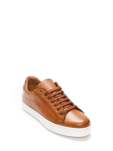 British Passport Leren sneakers bruin