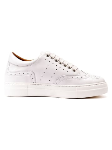 British Passport Leren sneakers wit