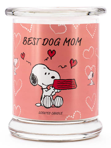 Peanuts Geurkaars : Peanuts Best Dog Mom" abrikooskleurig - 250 g
