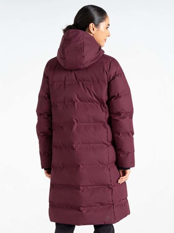 Dare 2b Płaszcz pikowany "Wander" w kolorze bordowym