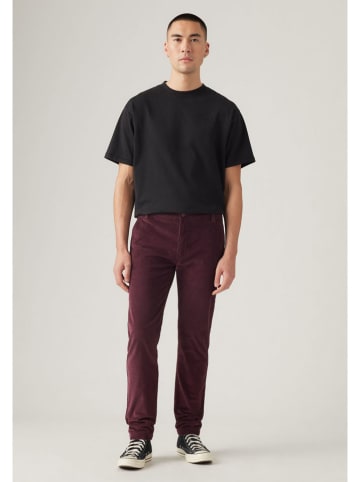 Levi's Hose in Bordeaux