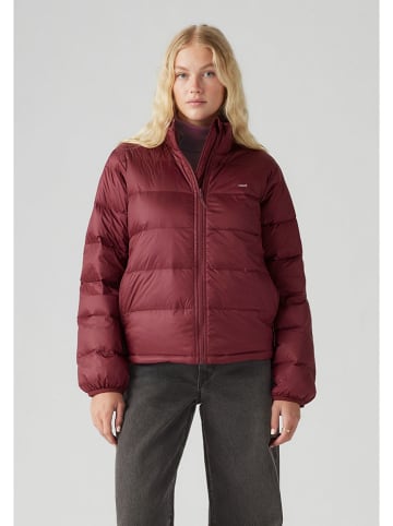 Levi's Steppjacke in Bordeaux