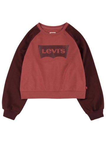 Levi's Kids Sweatshirt rood/bruin