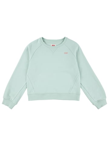 Levi's Kids Sweatshirt groen