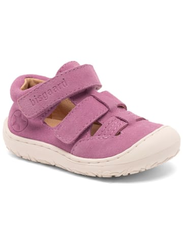 bisgaard Leder-Lauflernschuhe in Lila