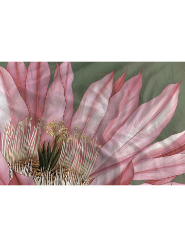 Heckett Lane Satin-Bettwäsche-Set "Mesa" in Khaki/ Rosa