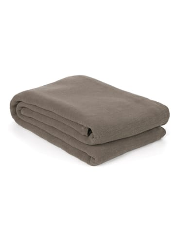 Yellow Pled w kolorze szarym