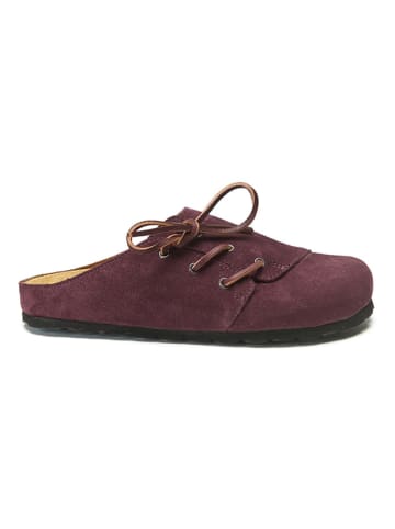 Mandel Leren clogs bordeaux