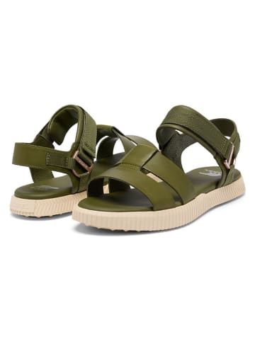 Sorel Sandalen "ONA AVE" in Khaki