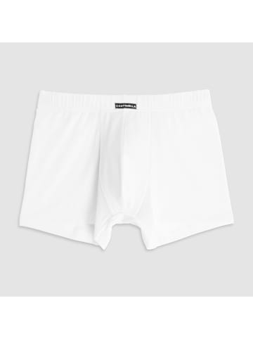 COTONELLA Boxershort wit