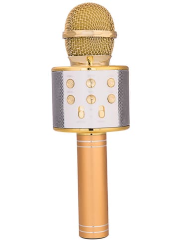 Techkidz Karaokemicrofoon goudkleurig