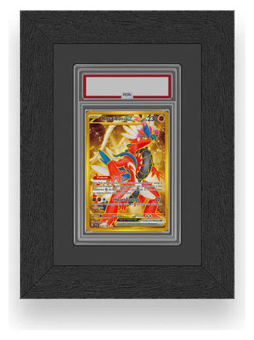 Techkidz Sammelkartenrahmen für 1 Karte