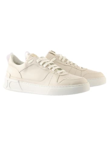 Högl Leder-Sneakers "Mac" in Creme