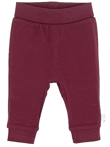 Sterntaler® Sweathose in Bordeaux