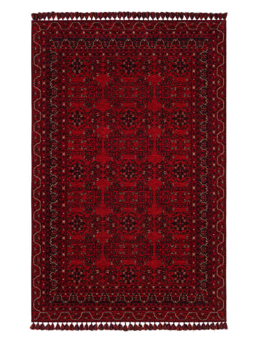 Mioli Laagpolig tapijt "BHR 02" rood