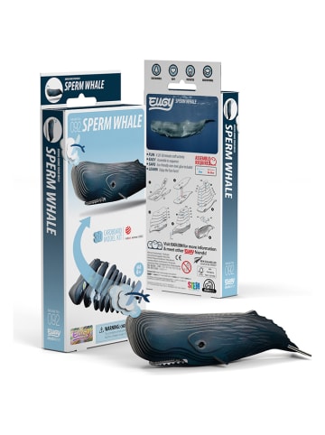 Eugy 3D-knutselset "Potvis" - vanaf 6 jaar