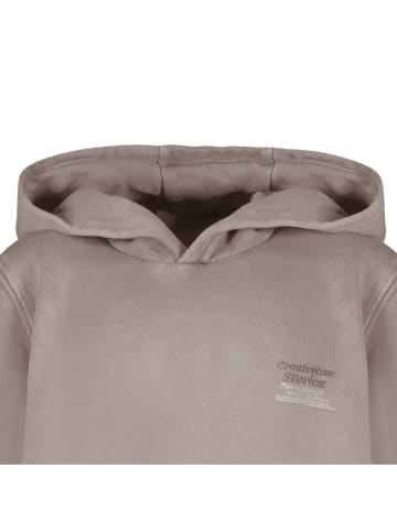 Cars Hoodie "Northan" grijs