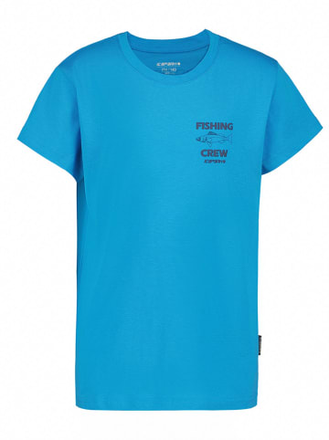 Icepeak Shirt "Leadville" in Blau
