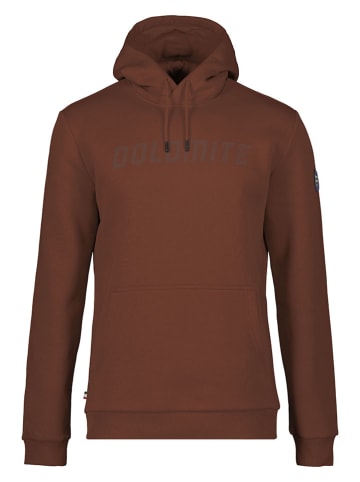 DOLOMITE Hoodie in Hellbraun